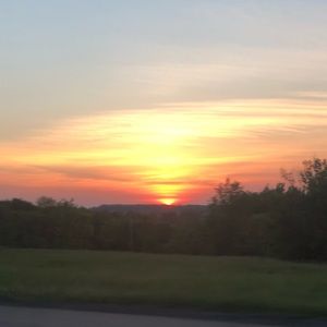 Meet your Posher, Savannah